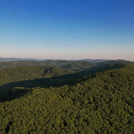 Country house горный приют Yabluniv
